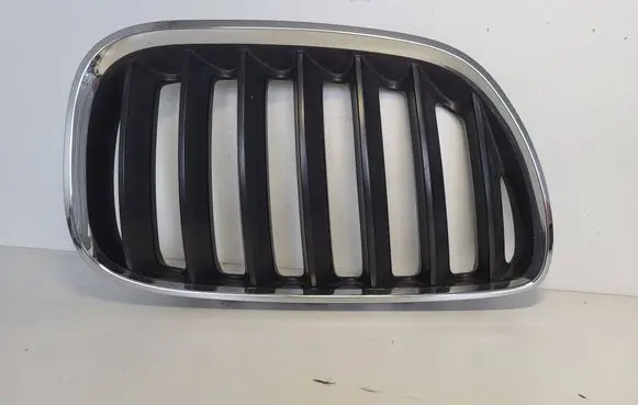 BMW X5 E53 Front bumper upper radiator grill 51137124816