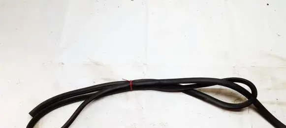 Nissan Murano Z50 Rubber seal rear door 