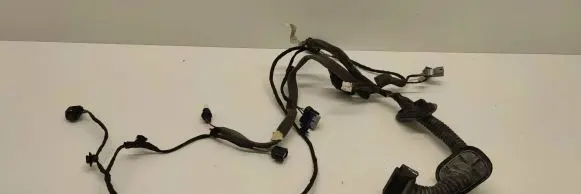 Renault Espace V (RFC) Front door wiring loom 241241104R