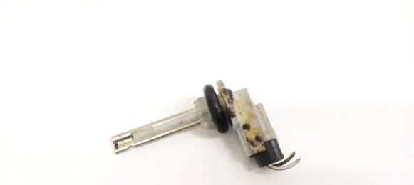 Interior temperature sensor