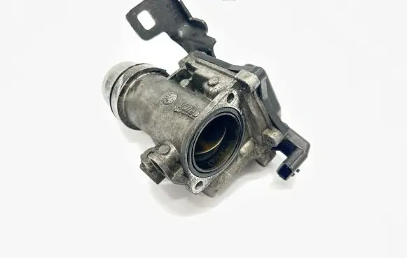 Renault Kangoo II Throttle valve 8200614985