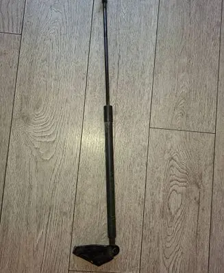 Tailgate strut