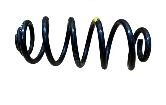 BMW X6 E71 Rear coil spring 6779860
