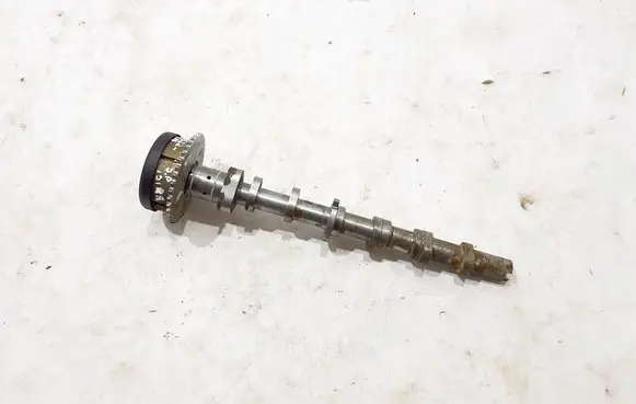 Audi Q5 SQ5 Camshaft 06M109003CN