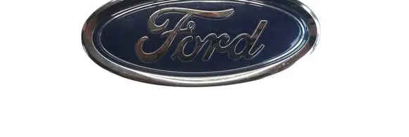 Ford Fusion Manufacturers badge/model letters DS73402A16AC