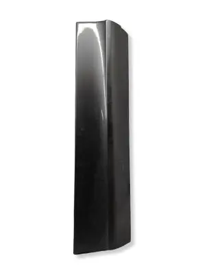 Audi Q7 4L Rear door trim (molding) 4L0853970