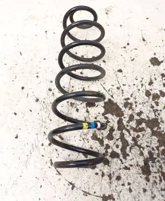 Opel Crossland X Rear coil spring