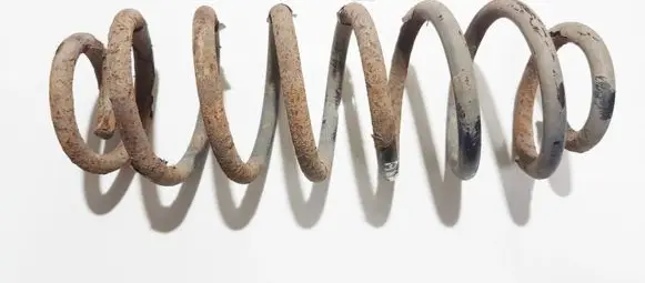 Rear coil spring