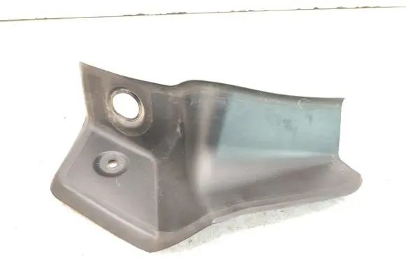 Rear/tail light trim molding