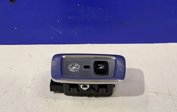 Volvo S90, V90 Front seat light 31694123
