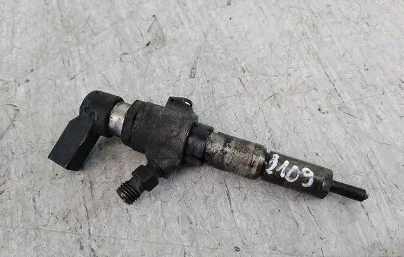 Citroen C3 Fuel injector 9654551080