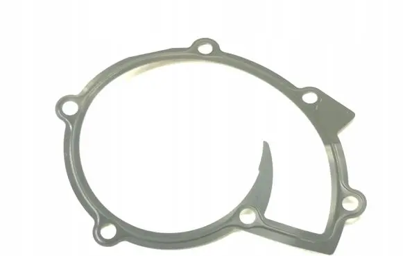 Fiat Ulysse Water pump 9569135480