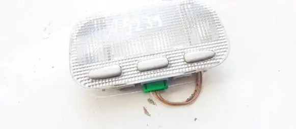 Citroen C5 Rear seat light