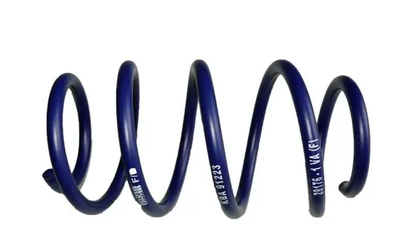 Volkswagen Golf V Rear coil spring KBA91223