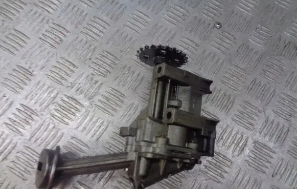 Renault Clio III Oil pump chain 8200307174
