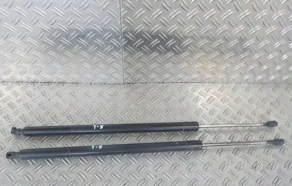 Tailgate strut