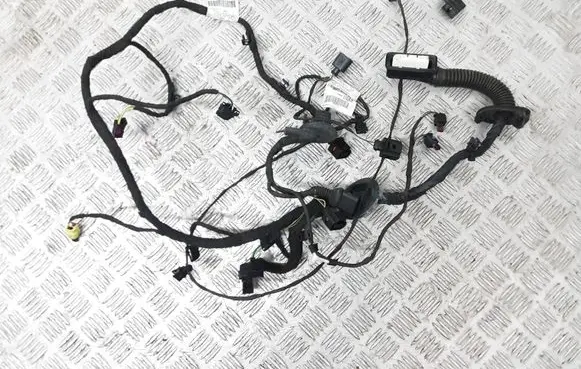Audi A8 S8 D4 4H Front door wiring loom 4H0971029MN FTAB027259D