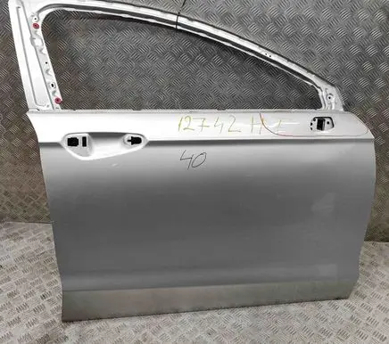 Ford Fusion Front door DS73F20204CB