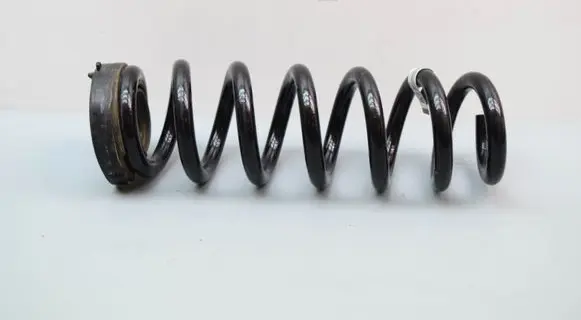 Rear coil spring