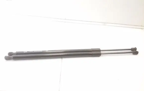 Tailgate/trunk strut/damper