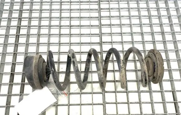 Rear coil spring