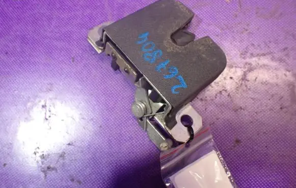 Tailgate/trunk/boot hinge