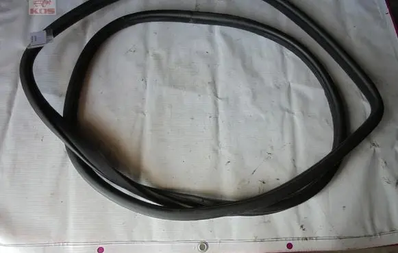 Hyundai Genesis Sliding door rubber seal 