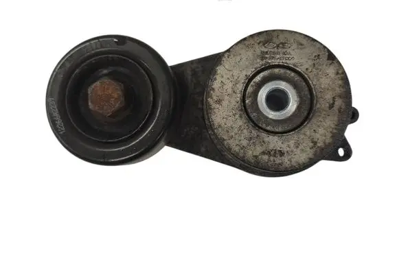 Hyundai Santa Fe Generator/alternator belt tensioner 252812F000