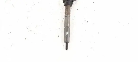 Mercedes-Benz R W251 Fuel injector 6420700587 6420701987