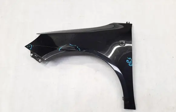 Fender end trim