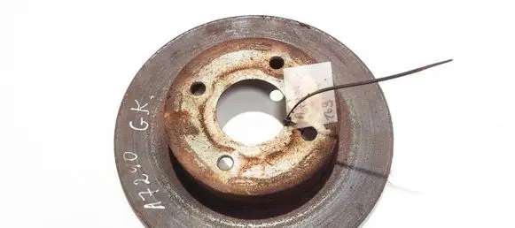 Rear brake disc