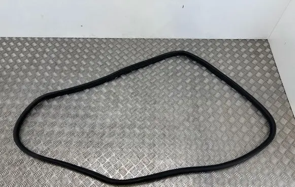 Ford Ecosport Trunk rubber seal (body) 
