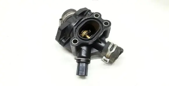 Thermostat/thermostat housing