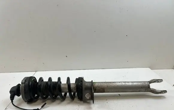 BMW M5 Front shock absorber with coil spring 2284045