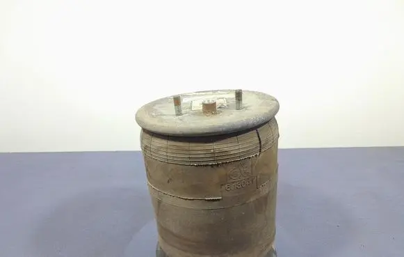 Renault Megane III Air suspension bag