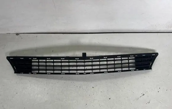 Mercedes-Benz A W169 Front bumper lower grill A1698850123