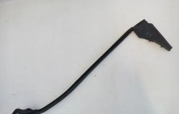Tesla Model S Front door rubber seal 17305282916