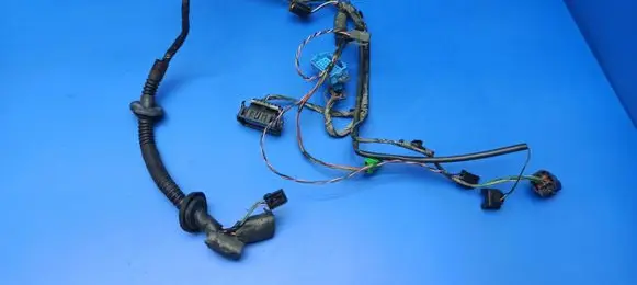 Rear door wiring loom