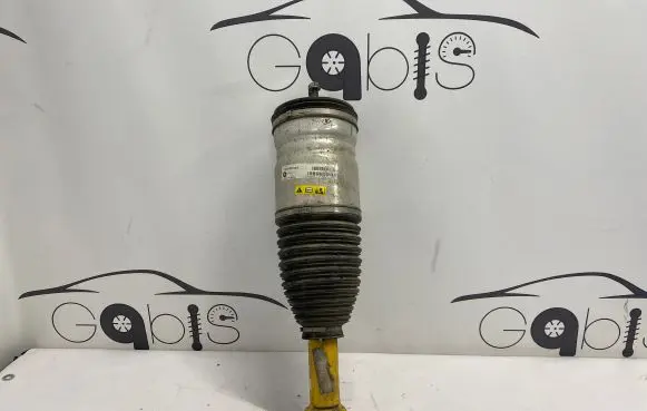 Dodge RAM Front shock absorber/damper 68318303AG