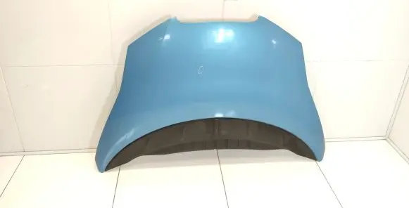 Nissan Leaf I (ZE0) Engine bonnet/hood