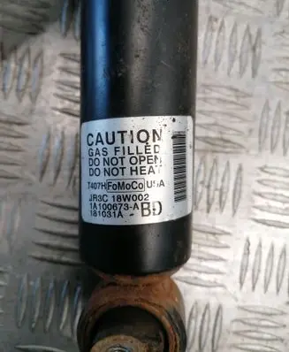 Ford Mustang VI Rear shock absorber/damper