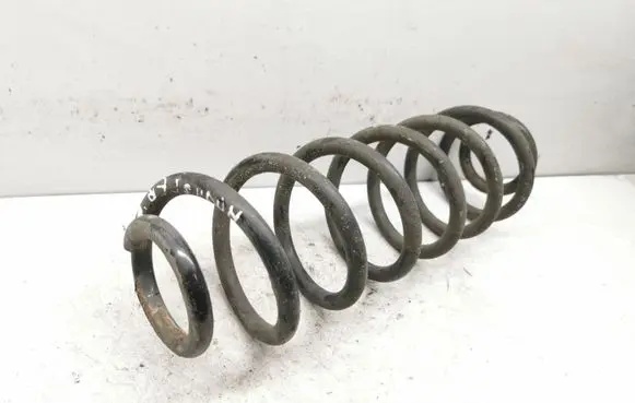 Skoda Roomster (5J) Rear coil spring