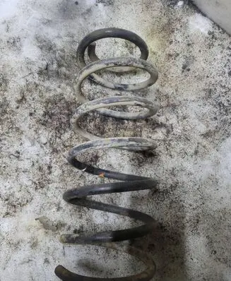 Front coil spring