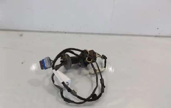 Citroen C3 Rear door wiring loom