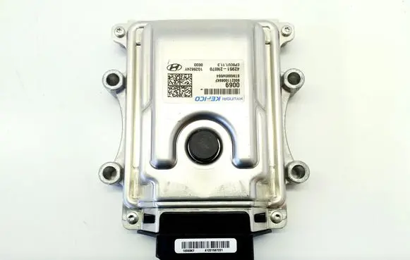 Hyundai Santa Fe Other devices 429512N070