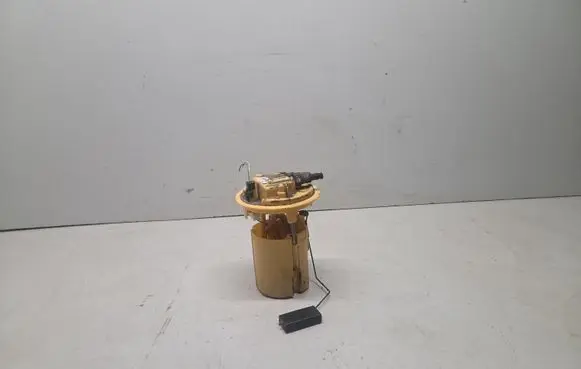 Peugeot 207 In-tank fuel pump 9680962080