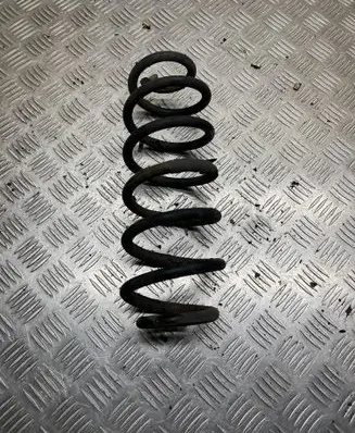 Rear coil spring