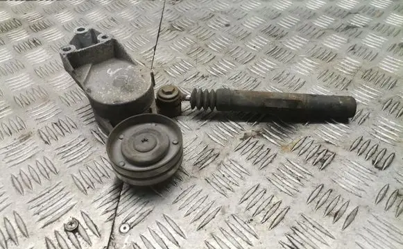 Skoda Octavia Mk1 (1U) Alternator belt tensioner 04343010002