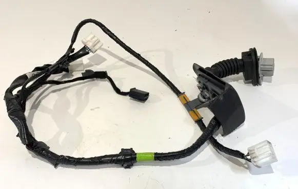 Rear door wiring loom