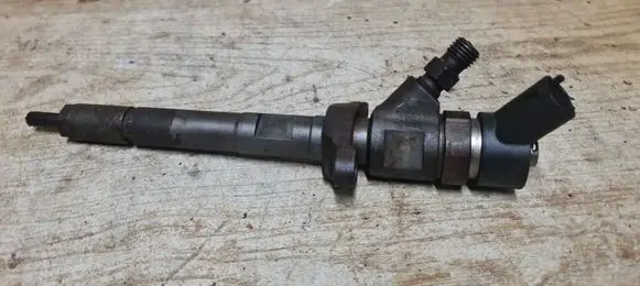 Volvo V50 Fuel injector 0445110239